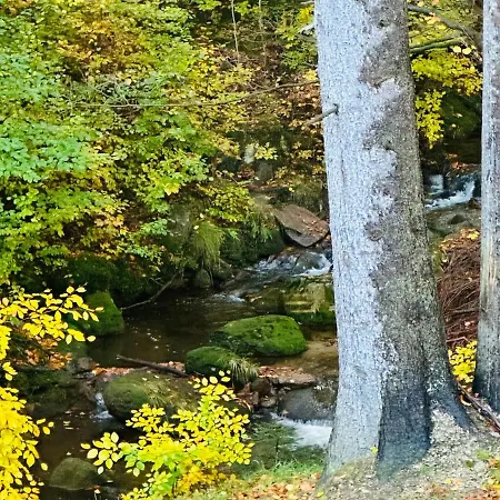 Nad Strumykiem Z Sauna - 5d Apartman *