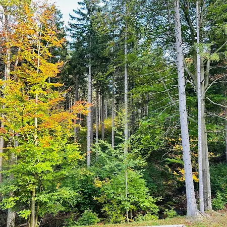 Nad Strumykiem Z Sauna - 5d *