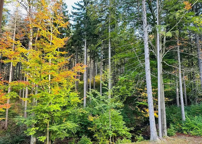 Nad Strumykiem Z Sauna - 5d *