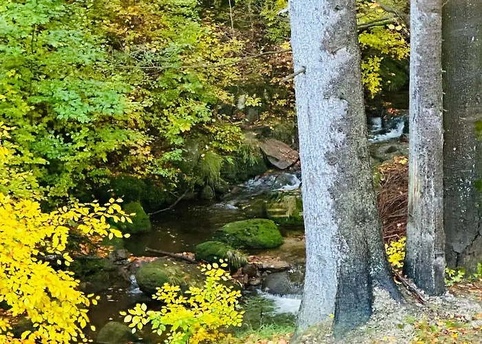 Nad Strumykiem Z Sauna - 5d Apartmán *